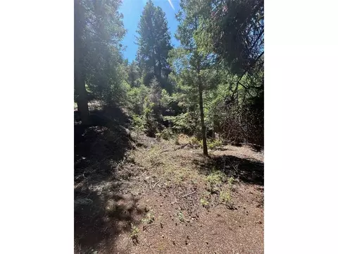 9465 Ute Rd, Cascade, CO 80809 photo 5