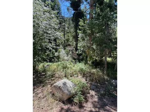 9465 Ute Rd, Cascade, CO 80809 photo 3