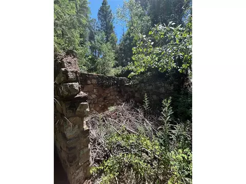 9465 Ute Rd, Cascade, CO 80809 photo 6
