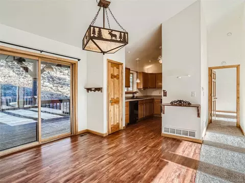 359 Sleepy Hollow Dr, Bailey, CO 80421 photo 2