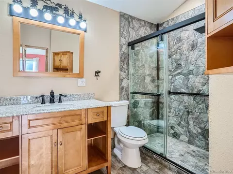 359 Sleepy Hollow Dr, Bailey, CO 80421 photo 10