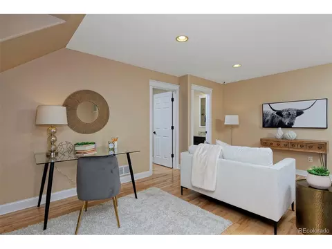 8171 E 33rd Ave, Denver, CO 80238 photo 34