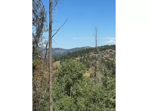 20258 Range View Dr, Morrison, CO 80465 photo 14