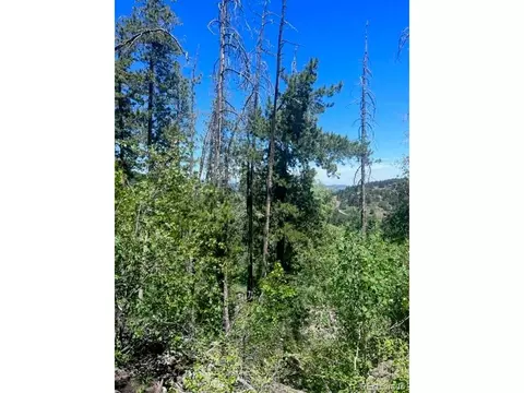 20258 Range View Dr, Morrison, CO 80465 photo 7