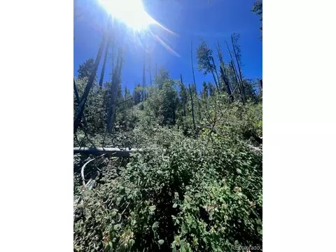 20258 Range View Dr, Morrison, CO 80465 photo 8