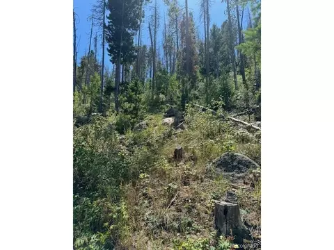 20258 Range View Dr, Morrison, CO 80465 photo 17