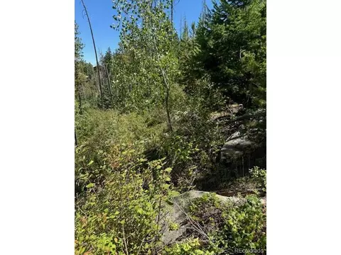 20258 Range View Dr, Morrison, CO 80465 photo 13