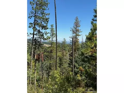 20258 Range View Dr, Morrison, CO 80465 photo 16