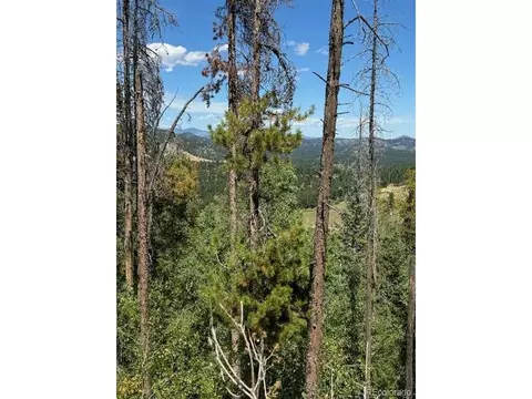 20258 Range View Dr, Morrison, CO 80465 photo 15