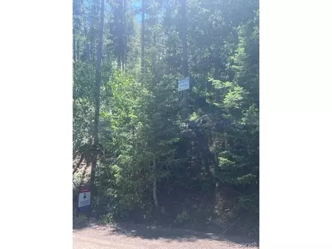 20258 Range View Dr, Morrison, CO 80465 photo 10