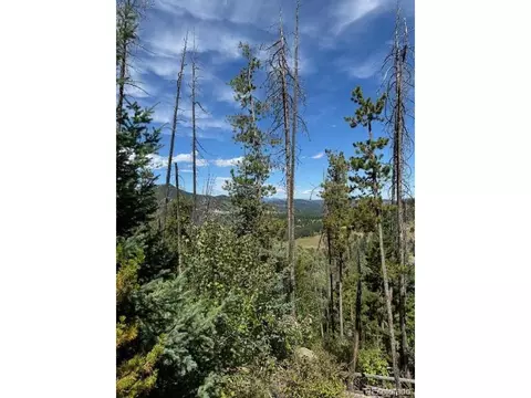 20258 Range View Dr, Morrison, CO 80465 photo 18