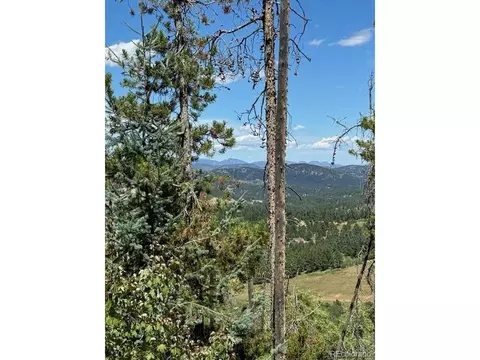 20258 Range View Dr, Morrison, CO 80465 photo 3