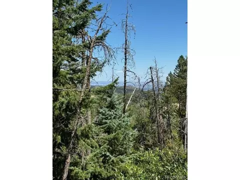 20258 Range View Dr, Morrison, CO 80465 photo 5