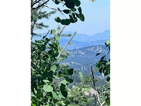 20258 Range View Dr, Morrison, CO 80465 photo 2