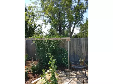 472 Buchanan Ave, Firestone, CO 80520 photo 8