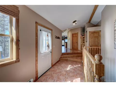 229 Catamount Ln, Bailey, CO 80421 photo 13