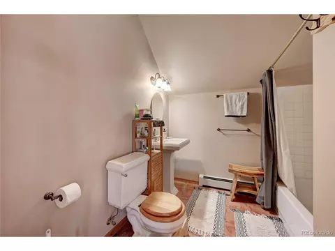 229 Catamount Ln, Bailey, CO 80421 photo 22