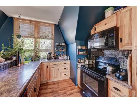 229 Catamount Ln, Bailey, CO 80421 photo 9