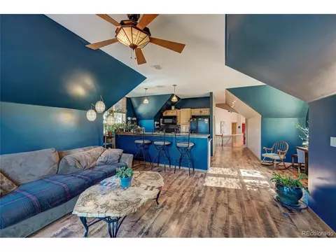 229 Catamount Ln, Bailey, CO 80421 photo 5