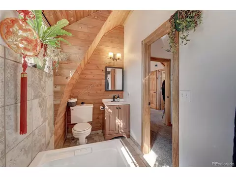 229 Catamount Ln, Bailey, CO 80421 photo 19