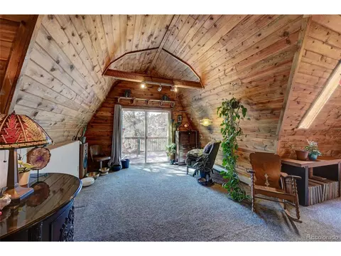 229 Catamount Ln, Bailey, CO 80421 photo 16