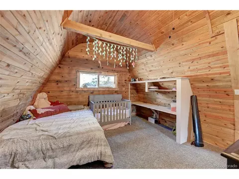 229 Catamount Ln, Bailey, CO 80421 photo 20