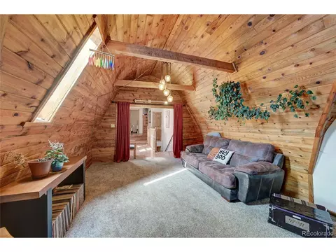 229 Catamount Ln, Bailey, CO 80421 photo 15