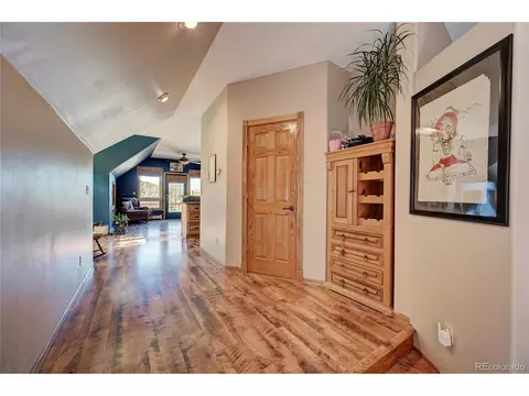 229 Catamount Ln, Bailey, CO 80421 photo 12