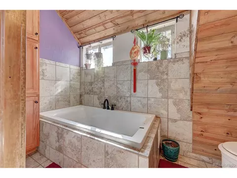229 Catamount Ln, Bailey, CO 80421 photo 18