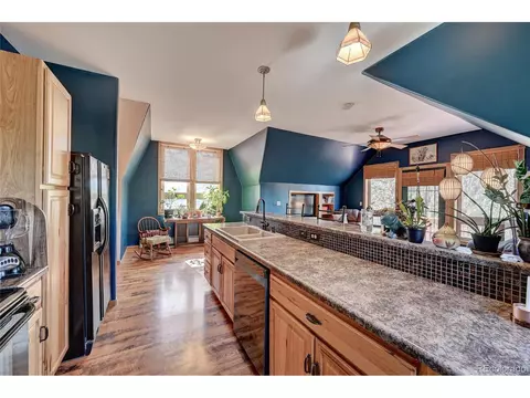 229 Catamount Ln, Bailey, CO 80421 photo 10