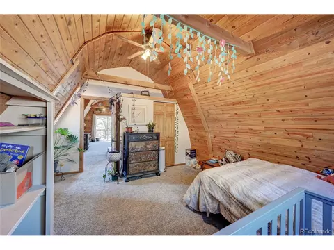 229 Catamount Ln, Bailey, CO 80421 photo 21