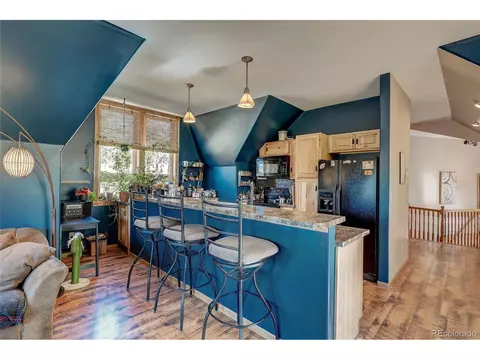 229 Catamount Ln, Bailey, CO 80421 photo 4