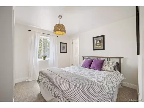 146 Road P61, Bailey, CO 80421 photo 16