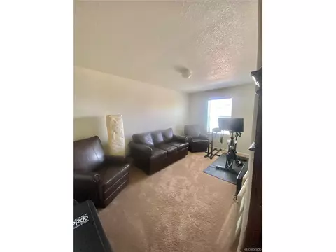 47355 Iris Ave, Bennett, CO 80102 photo 20