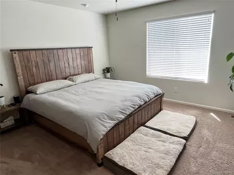 47355 Iris Ave, Bennett, CO 80102 photo 11