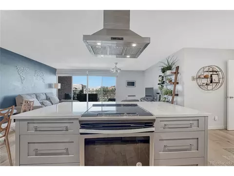 955 Eudora St #703E, Denver, CO 80220 photo 7