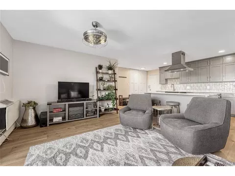 955 Eudora St #703E, Denver, CO 80220 photo 11
