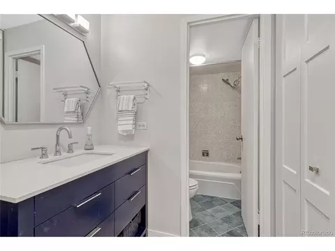 955 Eudora St #703E, Denver, CO 80220 photo 15