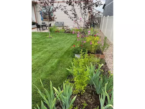 6804 Morrison Dr, Frederick, CO 80530 photo 29