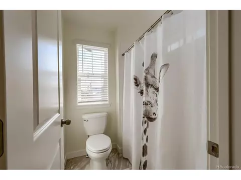 4865 E 145th Ave, Thornton, CO 80602 photo 25