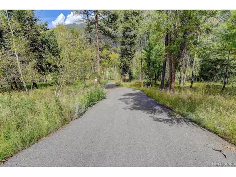264 N Fork Rd, Grant, CO 80448 photo 33