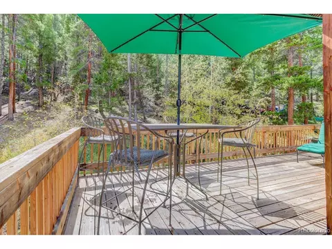 264 N Fork Rd, Grant, CO 80448 photo 26