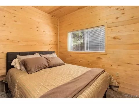 264 N Fork Rd, Grant, CO 80448 photo 22