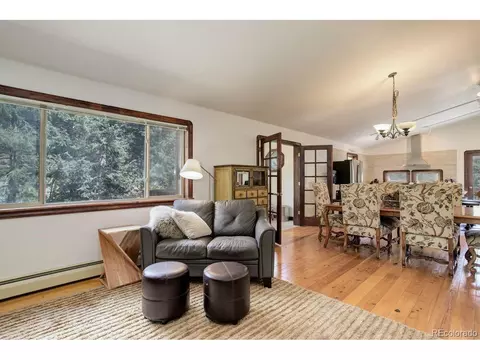 264 N Fork Rd, Grant, CO 80448 photo 8
