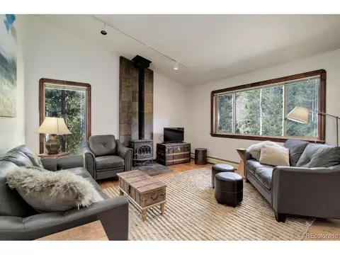 264 N Fork Rd, Grant, CO 80448 photo 6