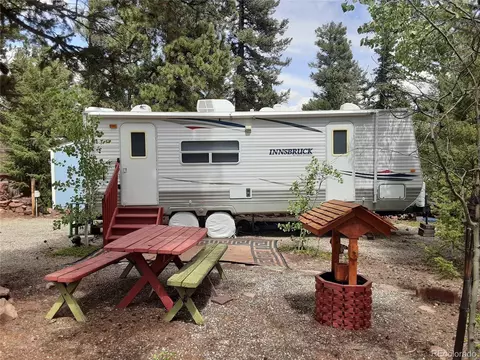72 Spike Way, Fairplay, CO 80440