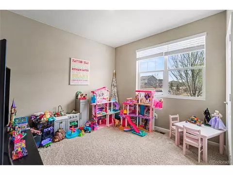 Other - 1645 Clarendon Dr, Windsor, CO 80550 photo 2 of 3