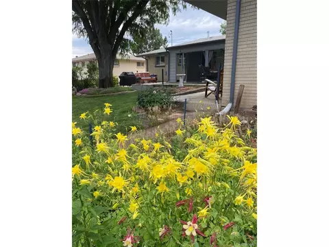 6984 Teller Ct, Arvada, CO 80003 photo 44