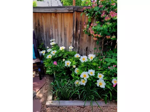 2541 Cherry St, Denver, CO 80207 photo 38