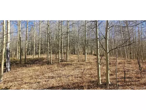6414 Bronfman Rd, Fort Garland, CO 81133